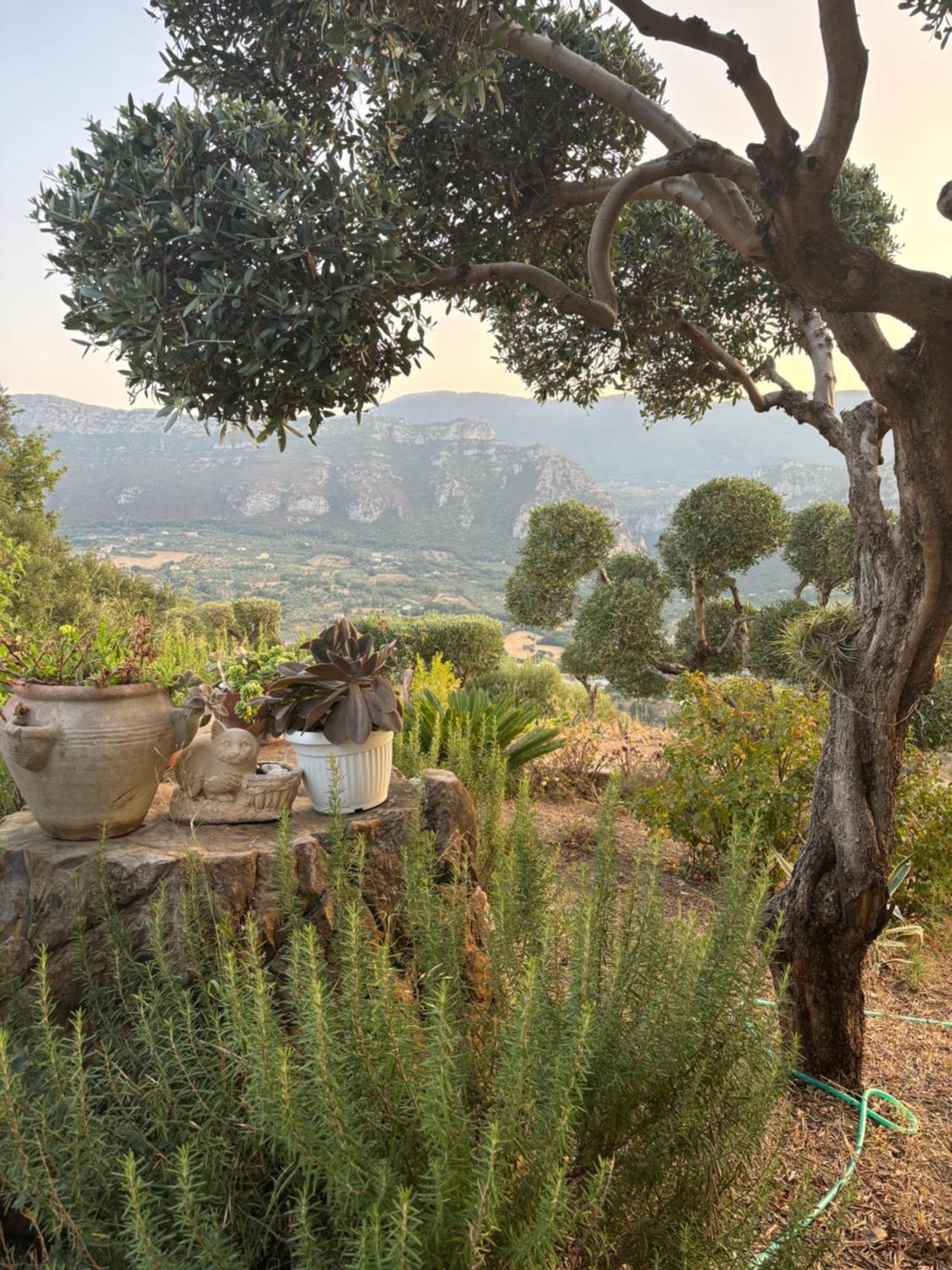 B&B Casa Martina Giungano Luaran gambar