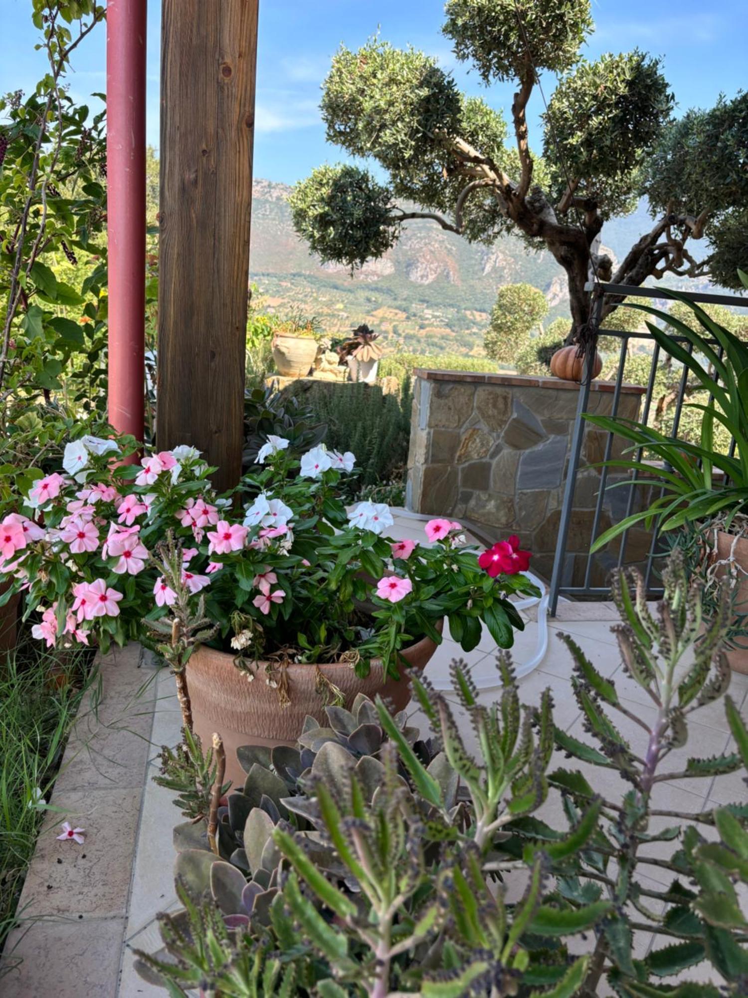 B&B Casa Martina Giungano Luaran gambar