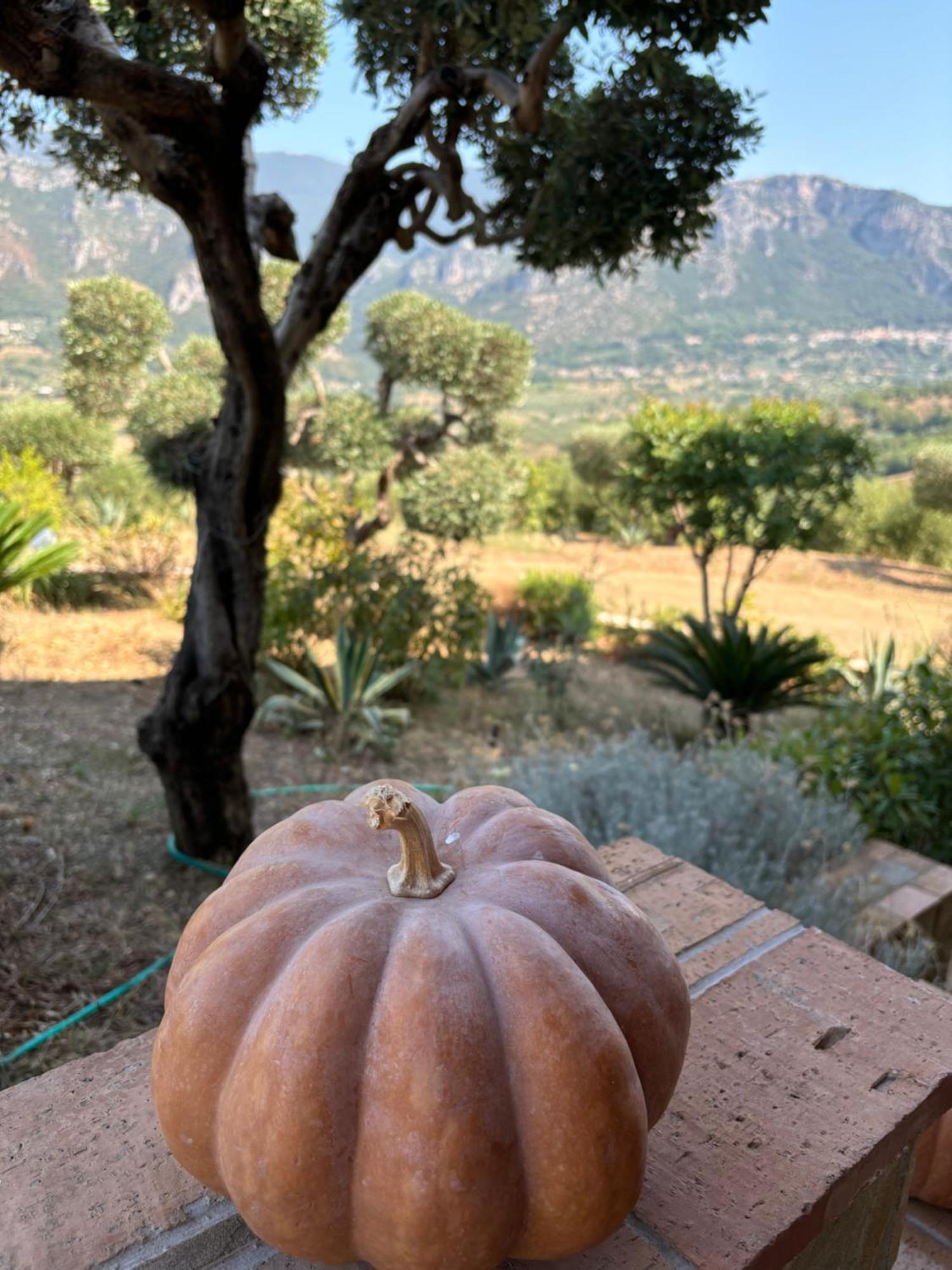 B&B Casa Martina Giungano Luaran gambar