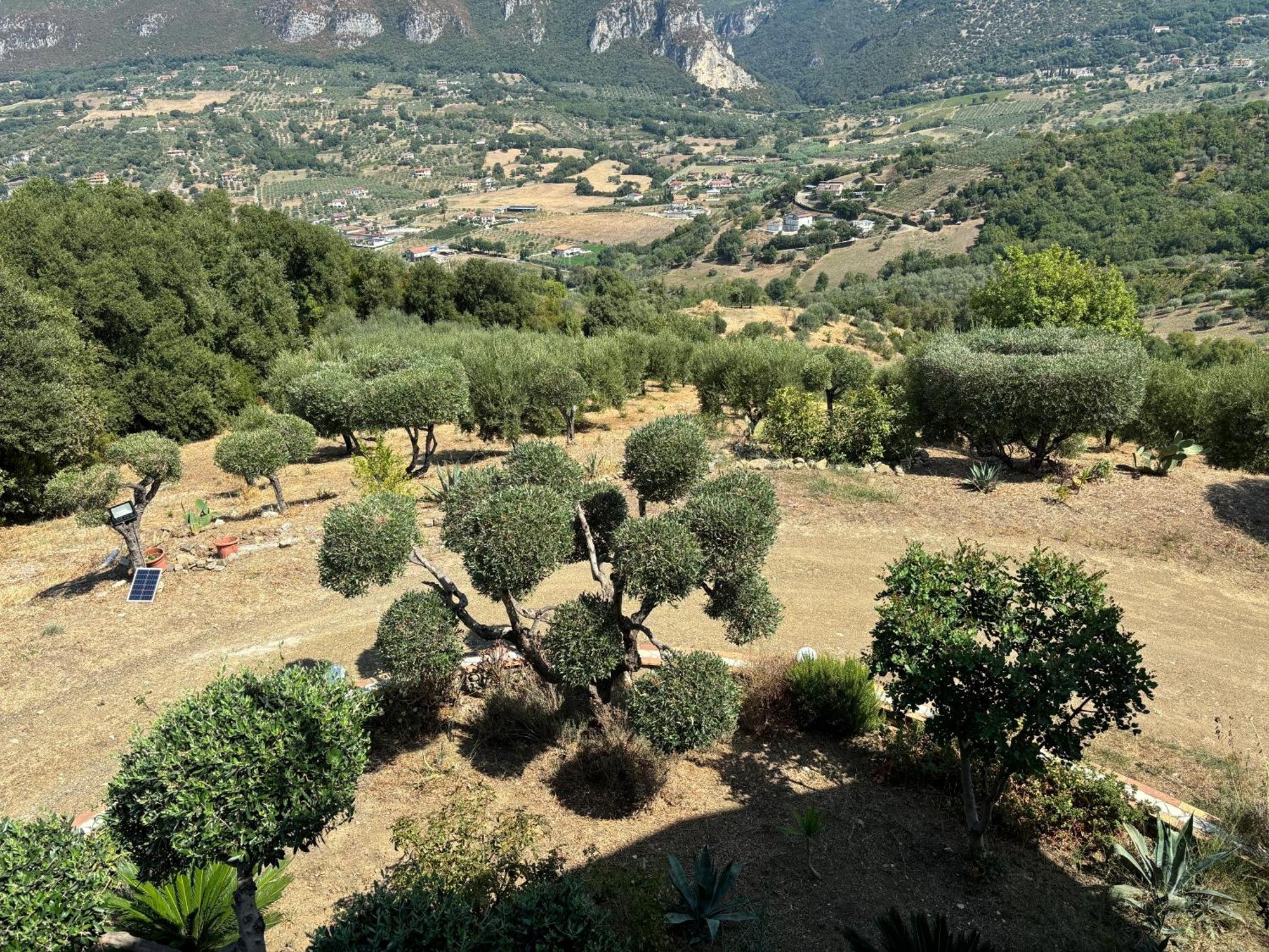 B&B Casa Martina Giungano Luaran gambar